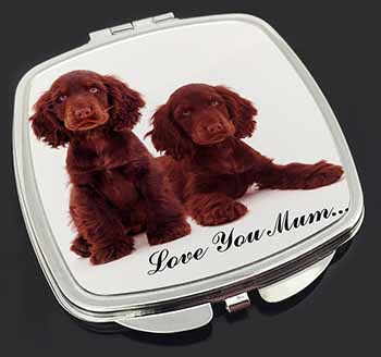 Chocolate Cocker Spaniels 