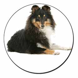 Tri-Col Sheltie Dog Fridge Magnet Printed Full Colour