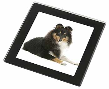 Tri-Col Sheltie Dog Black Rim High Quality Glass Coaster