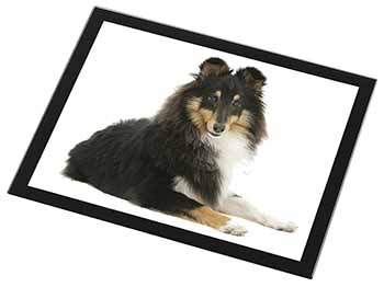 Tri-Col Sheltie Dog Black Rim High Quality Glass Placemat