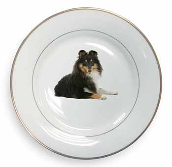 Tri-Col Sheltie Dog Gold Rim Plate Printed Full Colour in Gift Box