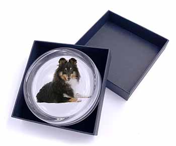 Tri-Col Sheltie Dog Glass Paperweight in Gift Box