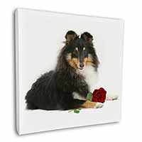 Tri-Col Sheltie with Red Rose Square Canvas 12"x12" Wall Art Picture Print