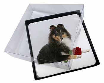 4x Tri-Col Sheltie with Red Rose Picture Table Coasters Set in Gift Box