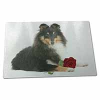 Large Glass Cutting Chopping Board Tri-Col Sheltie with Red Rose