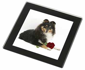 Tri-Col Sheltie with Red Rose Black Rim High Quality Glass Coaster