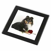 Tri-Col Sheltie with Red Rose Black Rim High Quality Glass Coaster