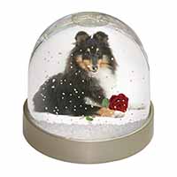 Tri-Col Sheltie with Red Rose Snow Globe Photo Waterball