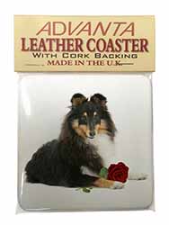 Tri-Col Sheltie with Red Rose Single Leather Photo Coaster