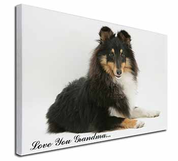 Sheltie Dog 