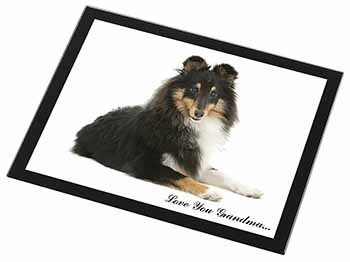 Sheltie Dog 