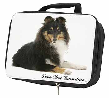 Sheltie Dog 