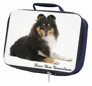 Sheltie Dog 