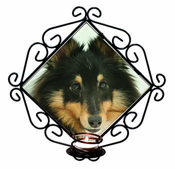 Tri-Colour Shetland Sheepdog Wrought Iron Wall Art Candle Holder