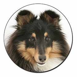 Tri-Colour Shetland Sheepdog Fridge Magnet Printed Full Colour