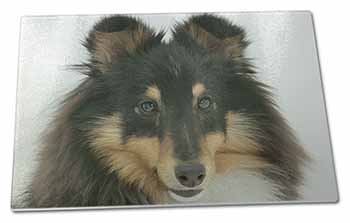 Large Glass Cutting Chopping Board Tri-Colour Shetland Sheepdog