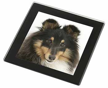 Tri-Colour Shetland Sheepdog Black Rim High Quality Glass Coaster