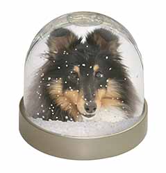 Tri-Colour Shetland Sheepdog Snow Globe Photo Waterball