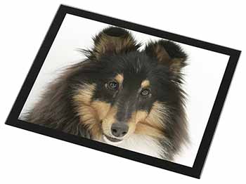 Tri-Colour Shetland Sheepdog Black Rim High Quality Glass Placemat