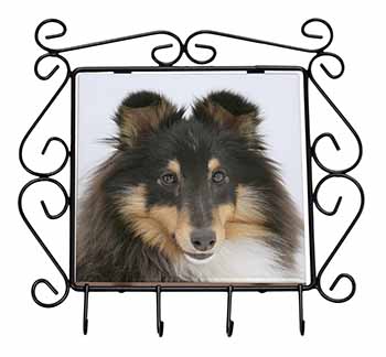 Tri-Colour Shetland Sheepdog Wrought Iron Key Holder Hooks