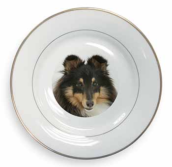 Tri-Colour Shetland Sheepdog Gold Rim Plate Printed Full Colour in Gift Box