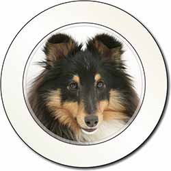 Tri-Colour Shetland Sheepdog Car or Van Permit Holder/Tax Disc Holder