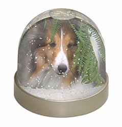 Shetland Sheepdog Snow Globe Photo Waterball