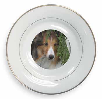 Shetland Sheepdog Gold Rim Plate Printed Full Colour in Gift Box