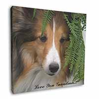 Shetland Sheepdog 