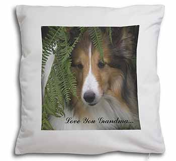 Shetland Sheepdog 