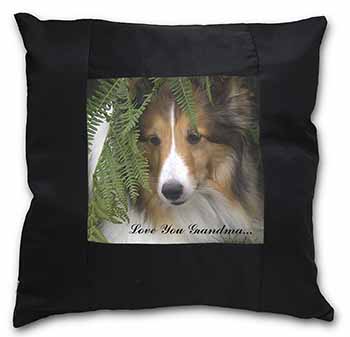 Shetland Sheepdog 