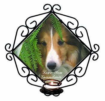 Shetland Sheepdog 