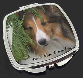 Shetland Sheepdog 