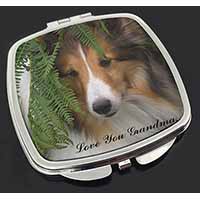 Shetland Sheepdog 