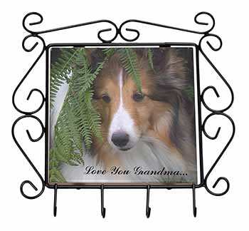 Shetland Sheepdog 