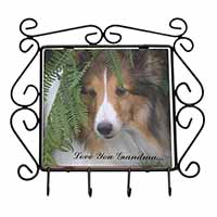 Shetland Sheepdog 