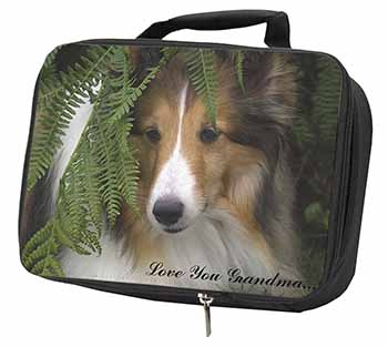 Shetland Sheepdog 