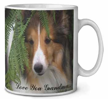 Shetland Sheepdog 