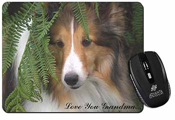 Shetland Sheepdog 