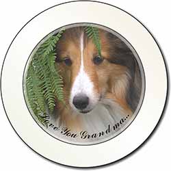 Shetland Sheepdog 