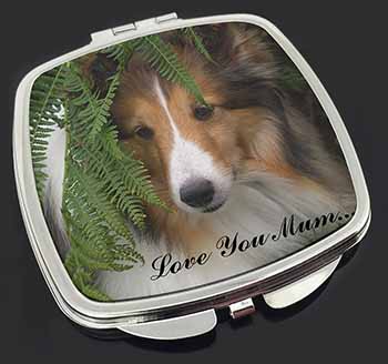 Shetland Sheepdog 