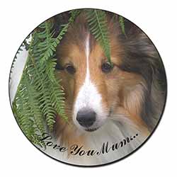 Shetland Sheepdog 