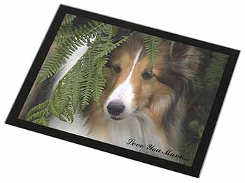 Shetland Sheepdog 