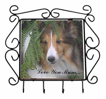 Shetland Sheepdog 