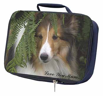 Shetland Sheepdog 