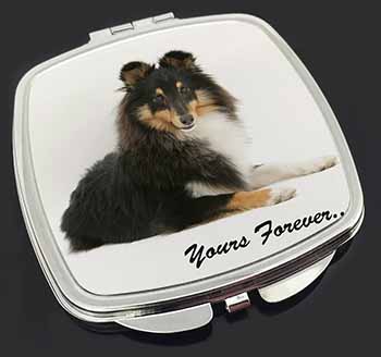 Shetland Sheepdog 