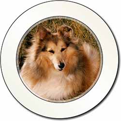 Sheltie on Hay Bale Car or Van Permit Holder/Tax Disc Holder