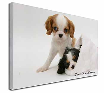 Cavalier King Charles 