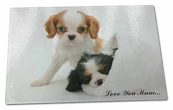 Large Glass Cutting Chopping Board Cavalier King Charles 