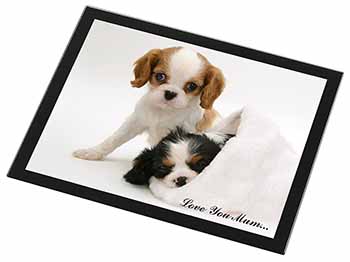 Cavalier King Charles 